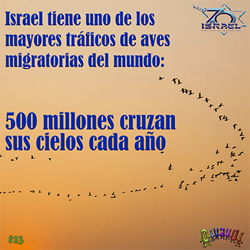 70 aniversario de Israel