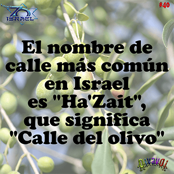 70 aniversario de Israel