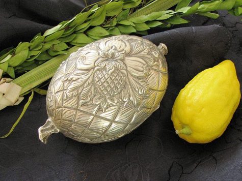 Etrog, la fruta china que se volvió símbolo de Sucot y del pueblo judío