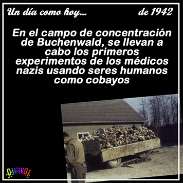 1 de febrero