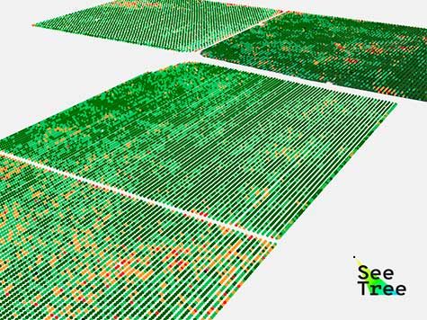 La inteligencia artificial (AI) llega a los árboles 1 seetree
