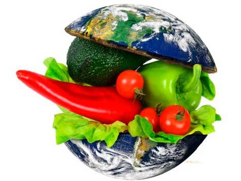 Esta es la dieta más sana del mundo 1 Esta es la dieta más sana del mundo