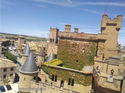 Castillo de Olite