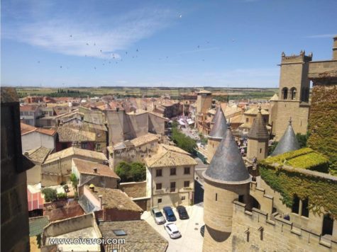 Las piedras misteriosas de Olite