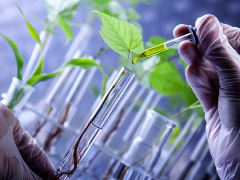 La planta que transforma las aguas residuales en agua limpia 1 La planta que transforma las aguas residuales en agua limpia