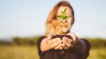 Investigadores israelíes anunciaron recientemente que están estudiando el uso de cannabis medicinal para tratar la endometriosis, la segunda condición ginecológica más frecuente...