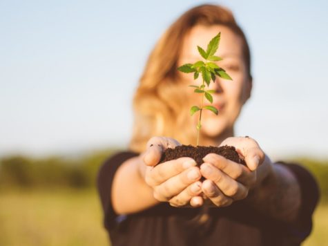 Comprueban los beneficios del cannabis en la endometriosis 1 Investigadores israelíes anunciaron recientemente que están estudiando el uso de cannabis medicinal para tratar la endometriosis, la segunda condición ginecológica más frecuente...