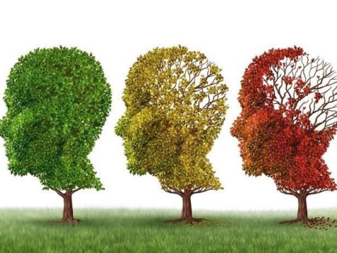¿Cuál es la edad de tu cerebro? 1 ¿Cuál es la edad de tu cerebro?