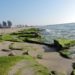 Ashdod, la ciudad más ecológica del Mediterráneo según la ONU
