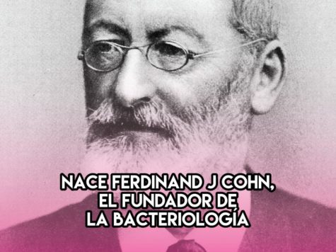 Ferdinand J. Cohn: 24 de Enero