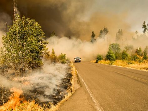 Bacterias que se "comen" el CO₂, la esperanza contra el calentamiento global