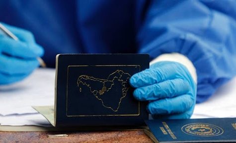 Un pasaporte de salud digital para viajar durante la pandemia