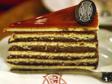 Dobos torte 1 Dobos torte
