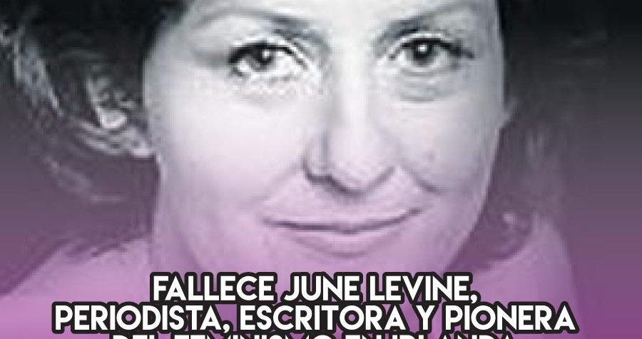 June Levine y el feminismo irlandés