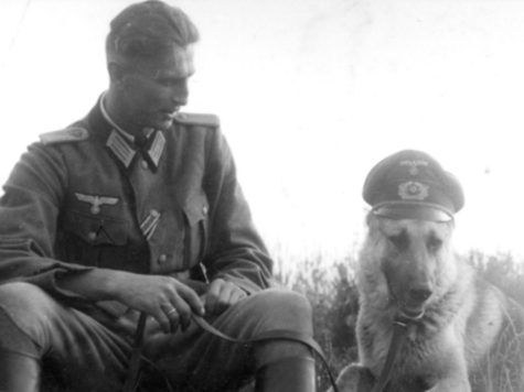 Los nazis, sus perros y los judíos
