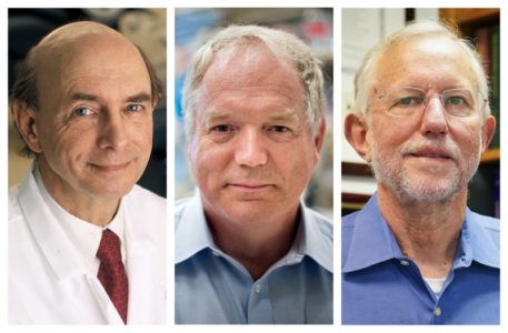 5 personas con raíces judías recibieron el Premio Nobel en este 2020