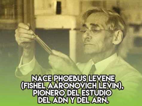 Phoebus Levene, pionero del estudio del ADN y del ARN 1 Phoebus Levene, pionero del estudio del ADN y del ARN