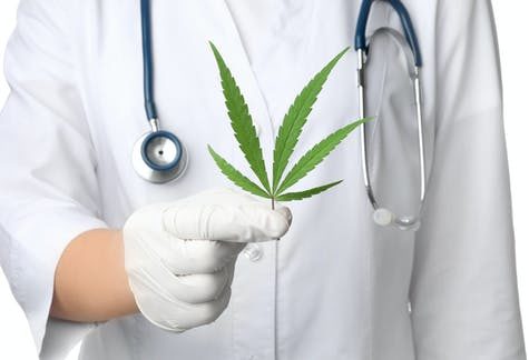 El cannabis puede prevenir uno de los peores efectos secundarios de la quimioterapia: estudio israelí