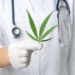 El cannabis puede prevenir uno de los peores efectos secundarios de la quimioterapia: estudio israelí