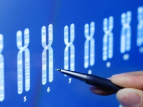 Hiperplasia suprarrenal congénita no clásica 1 Hiperplasia suprarrenal congénita no clásica