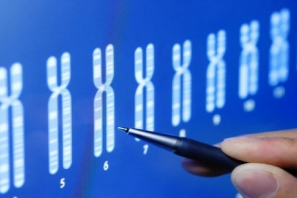 Hiperplasia suprarrenal congénita no clásica
