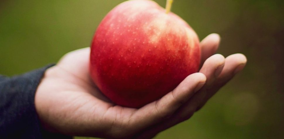 La manzana en la kabalá  