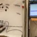 Israel: conectan un oído de langosta a un robot para crear tecnología parte animal y parte máquina