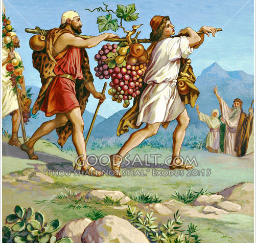 Alimentos afrodisiacos de la cocina judía: las uvas